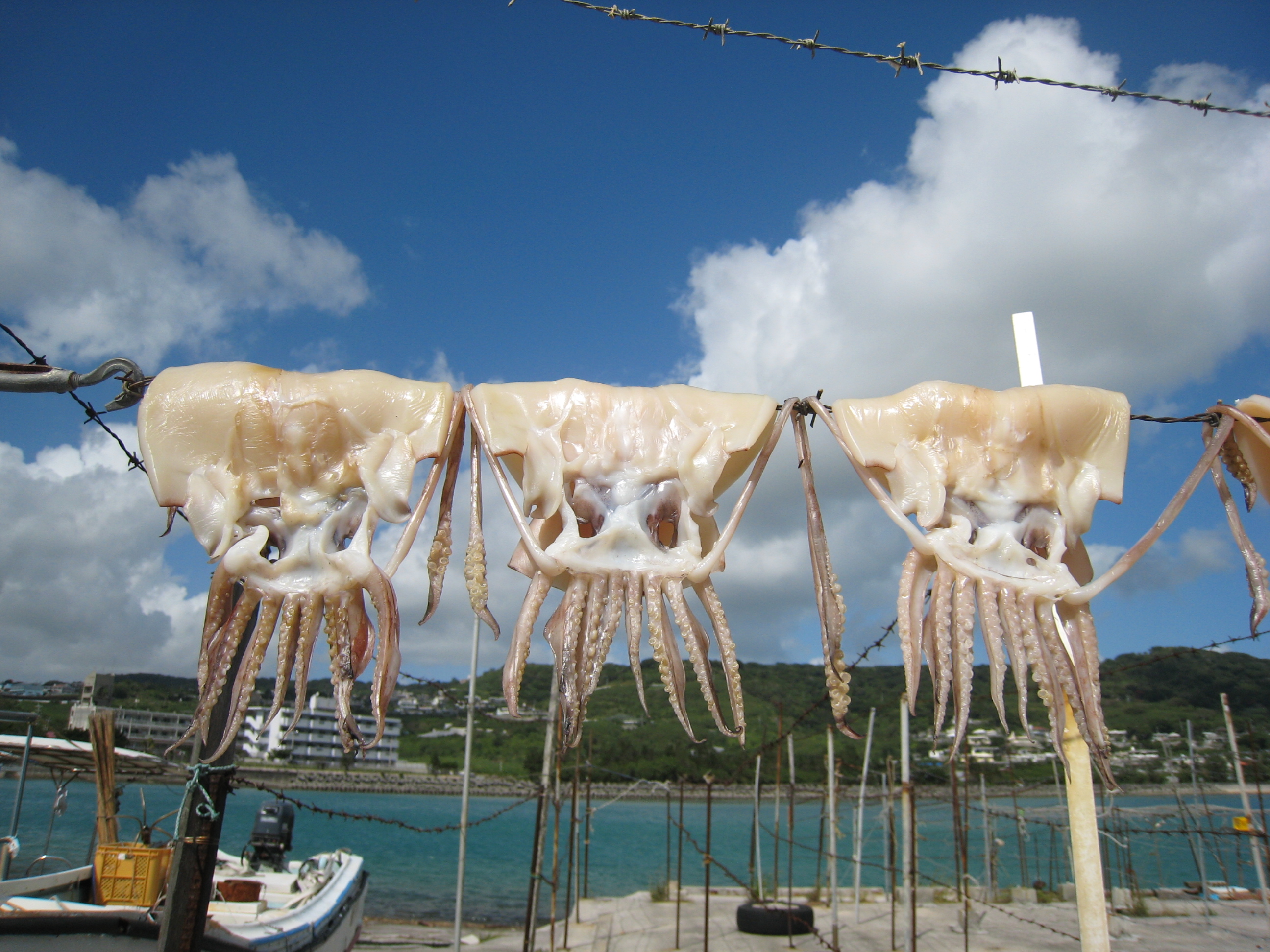 奥武島 海カフェ 沖縄南部に暮らしてます